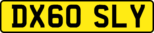 DX60SLY