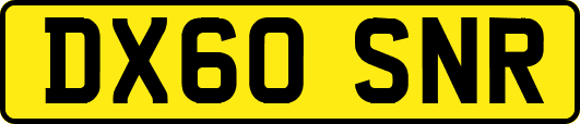 DX60SNR
