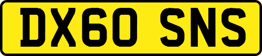DX60SNS