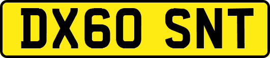 DX60SNT