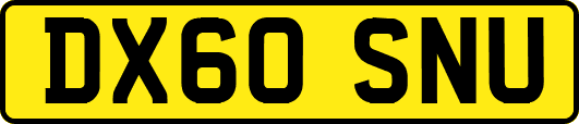 DX60SNU