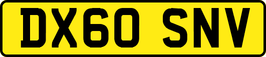 DX60SNV
