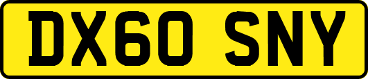 DX60SNY
