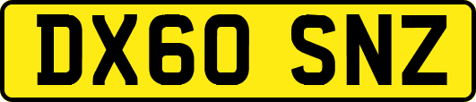 DX60SNZ