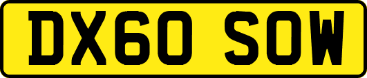 DX60SOW