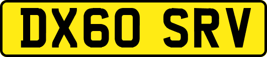 DX60SRV