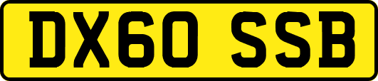DX60SSB