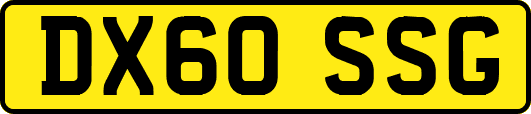 DX60SSG