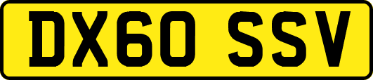 DX60SSV