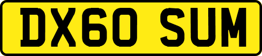 DX60SUM