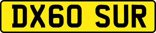 DX60SUR