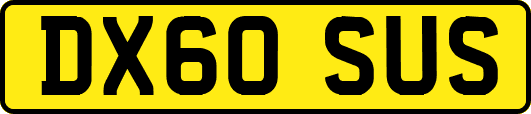 DX60SUS