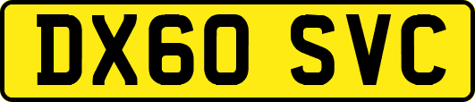 DX60SVC