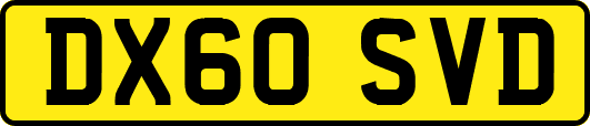 DX60SVD