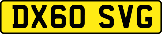 DX60SVG