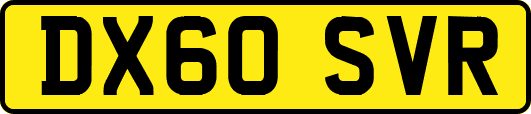 DX60SVR