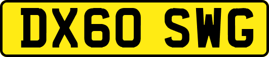 DX60SWG