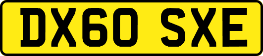 DX60SXE