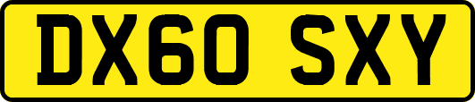 DX60SXY