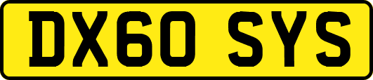 DX60SYS