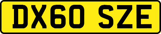 DX60SZE
