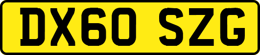 DX60SZG