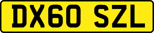 DX60SZL