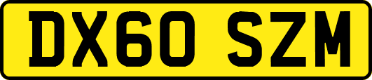 DX60SZM