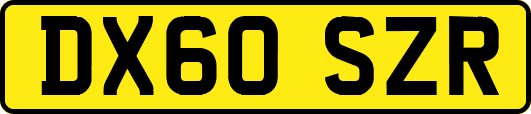 DX60SZR