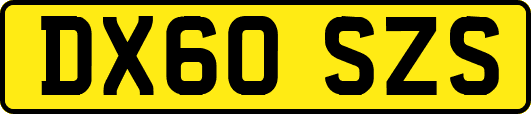 DX60SZS