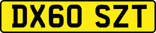 DX60SZT