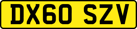 DX60SZV