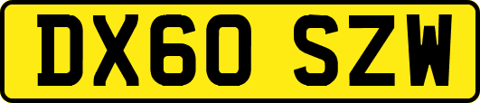 DX60SZW