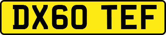 DX60TEF