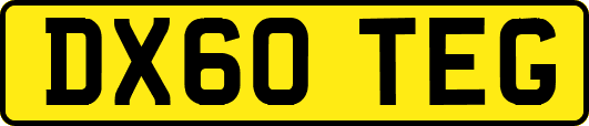DX60TEG