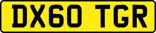 DX60TGR