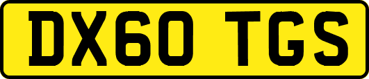 DX60TGS