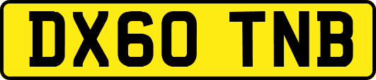 DX60TNB