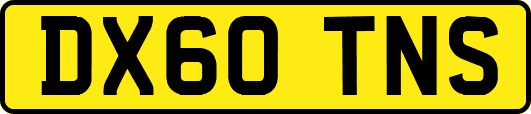 DX60TNS