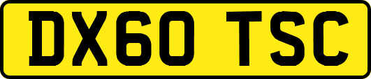 DX60TSC