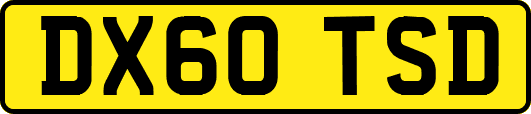 DX60TSD