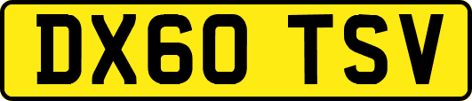 DX60TSV