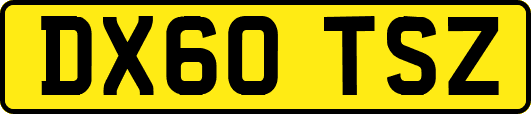 DX60TSZ