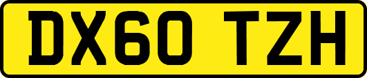 DX60TZH