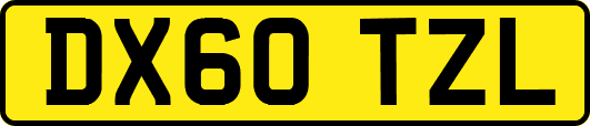 DX60TZL