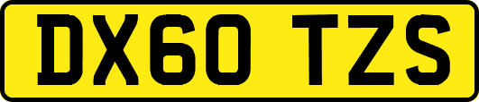 DX60TZS