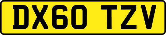 DX60TZV