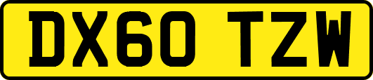 DX60TZW