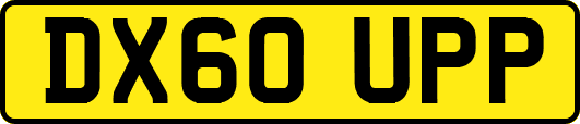 DX60UPP