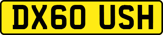 DX60USH